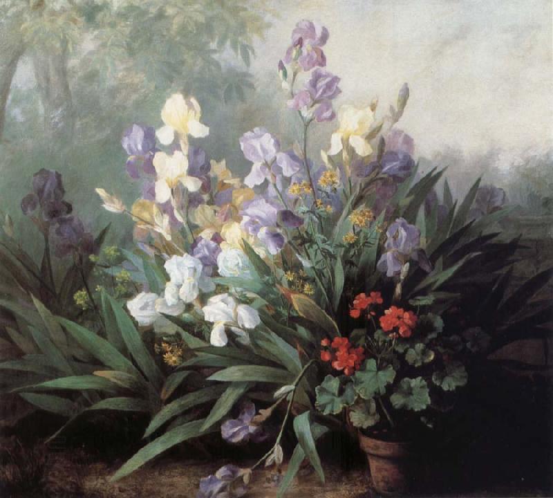 Barbara Bodichon Landscape with Irises China oil painting art
